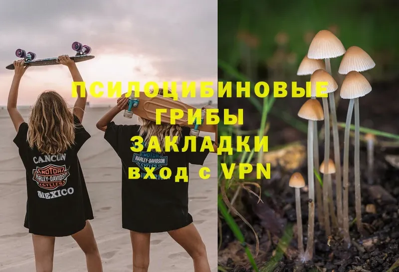 Псилоцибиновые грибы MAGIC MUSHROOMS  купить закладку  Каневская 